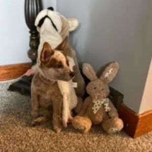 Meet your Posher, Cassie